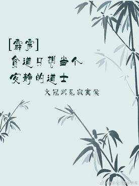 （霹雳同人）[霹雳]贫道只想当个安静的道士